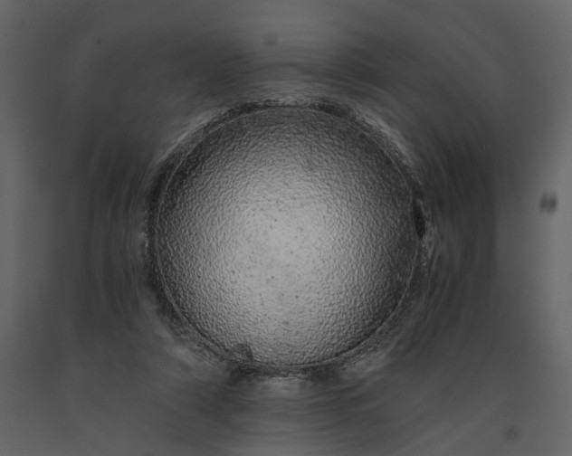 X0000091180306200708231535