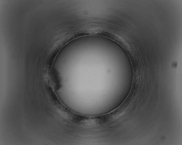 X0000091180307200708231535