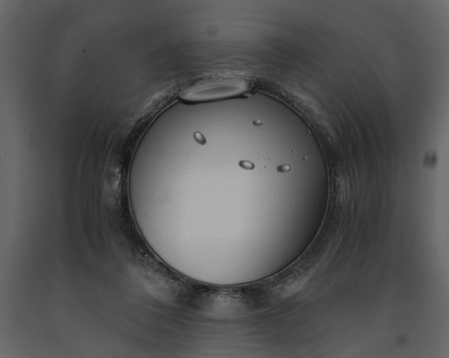 X0000091180308200708231535