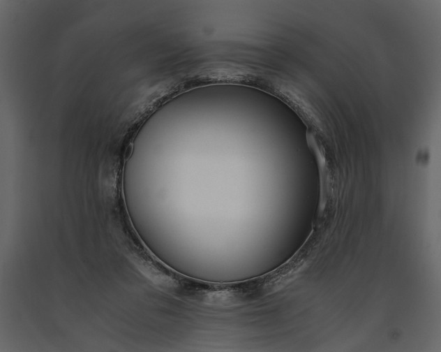 X0000091180309200708231535