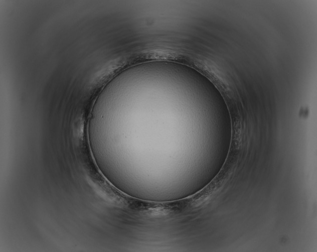 X0000091180310200708231535