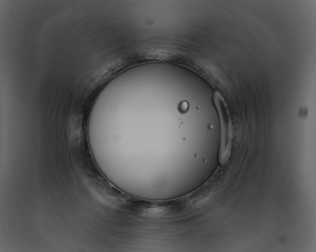 X0000091180312200708231535