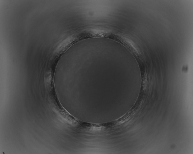 X0000091180314200708231534