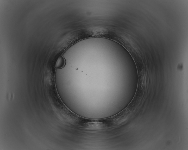 X0000091180316200708231534