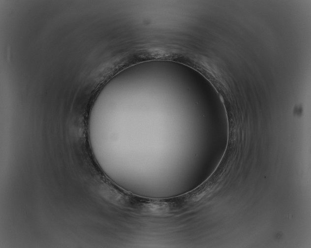 X0000091180317200708231534