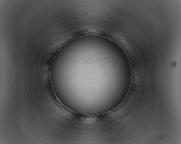 X0000091180318200708231534