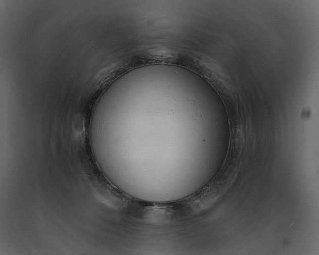 X0000091180320200708231534