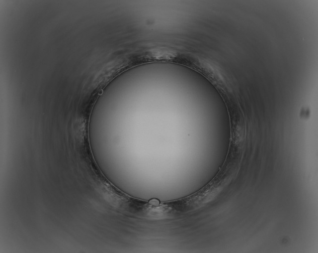 X0000091180321200708231534