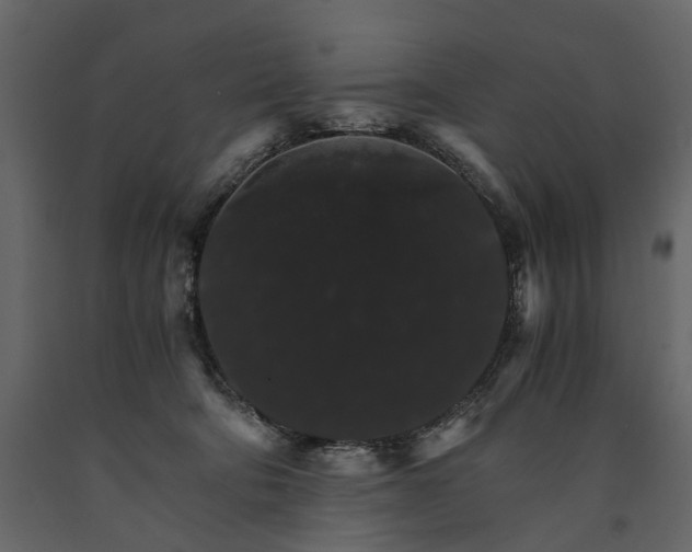 X0000091180322200708231534