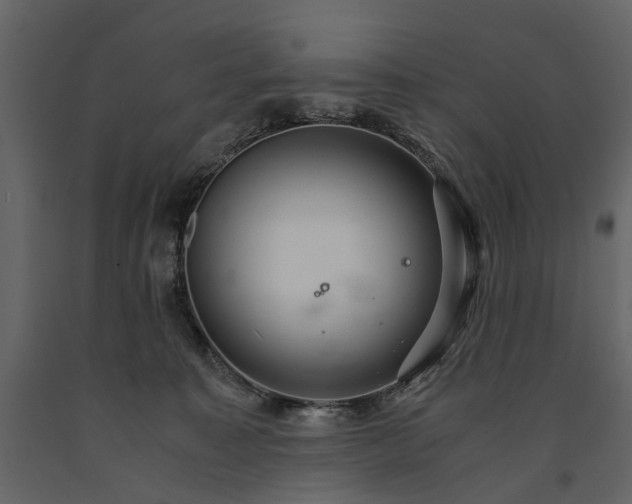 X0000091180323200708231534