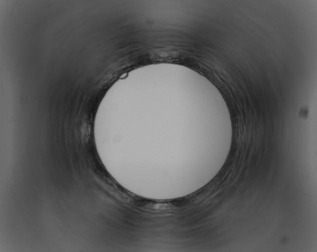 X0000091180324200708231534