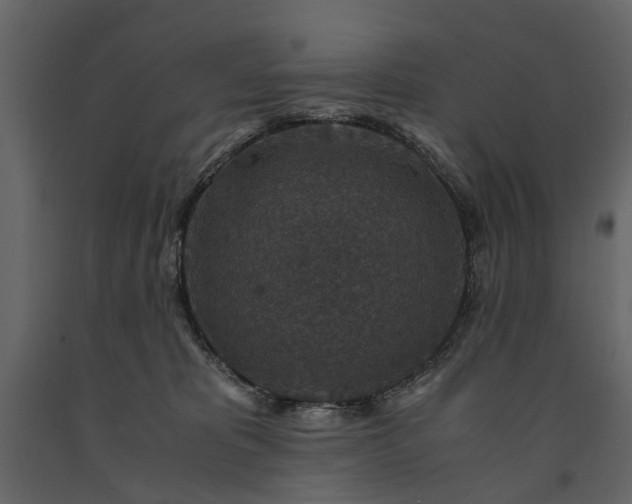 X0000091180325200708231534