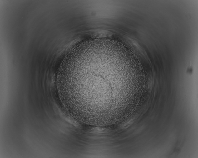 X0000091180326200708231534