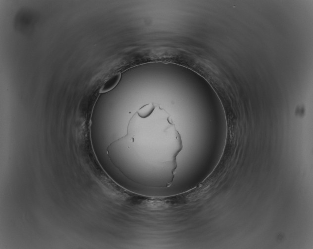 X0000091180327200708231534