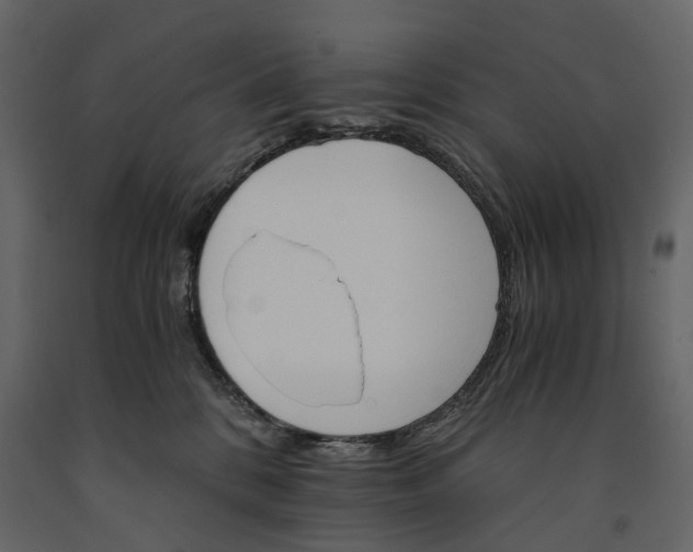 X0000091180328200708231534