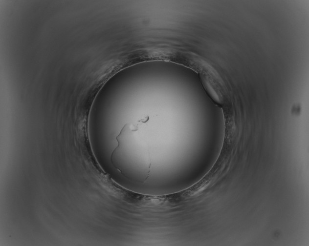 X0000091180329200708231534