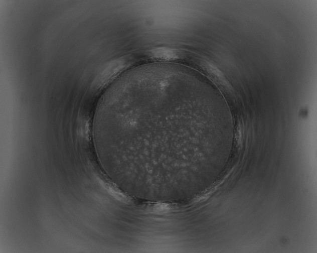 X0000091180330200708231534