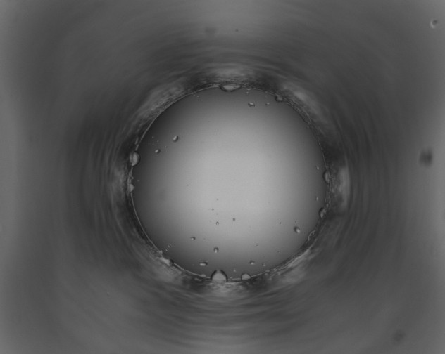 X0000091180333200708231534