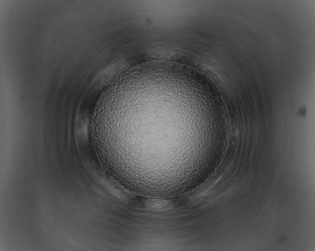 X0000091180334200708231534