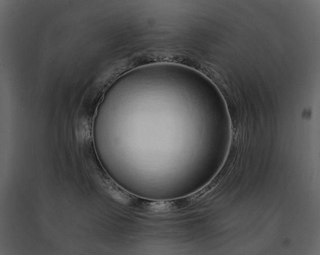 X0000091180335200708231534