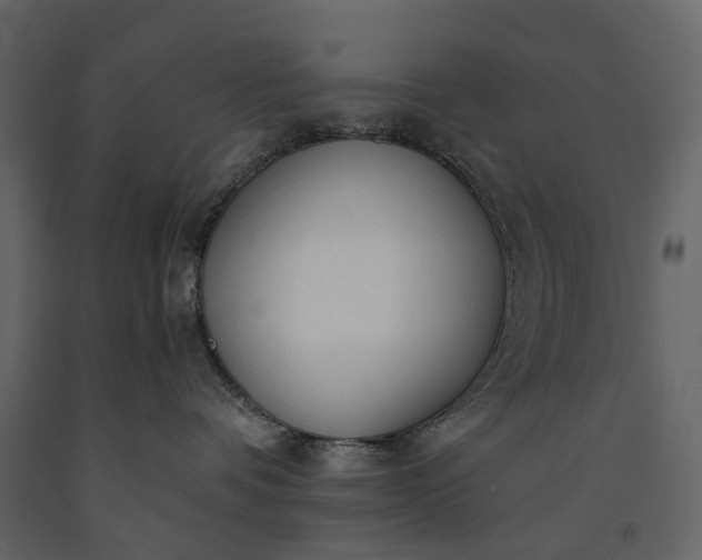 X0000091180336200708231534