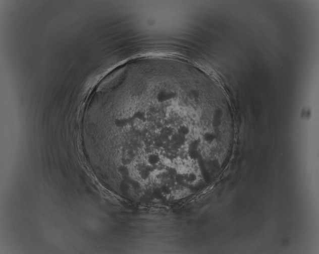 X0000091180337200708231534