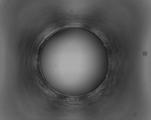 X0000091180338200708231534