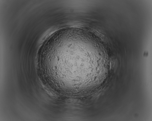 X0000091180339200708231534