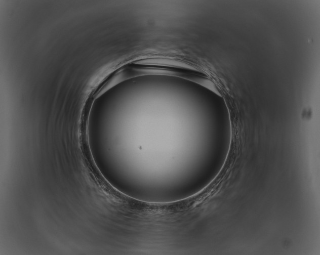 X0000091180340200708231534