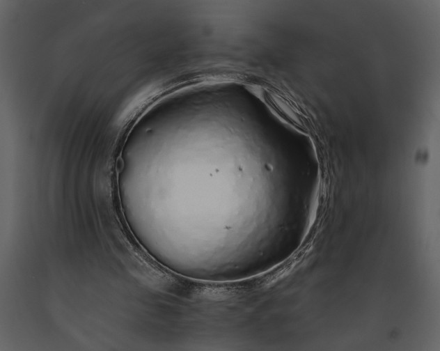 X0000091180341200708231534