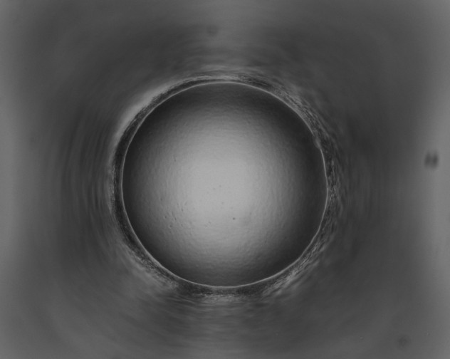 X0000091180342200708231534