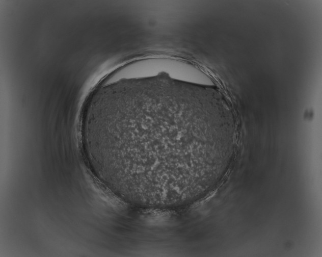 X0000091180343200708231534