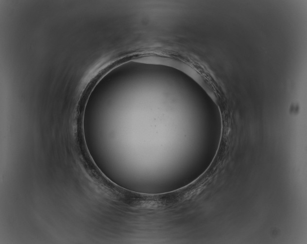 X0000091180344200708231534