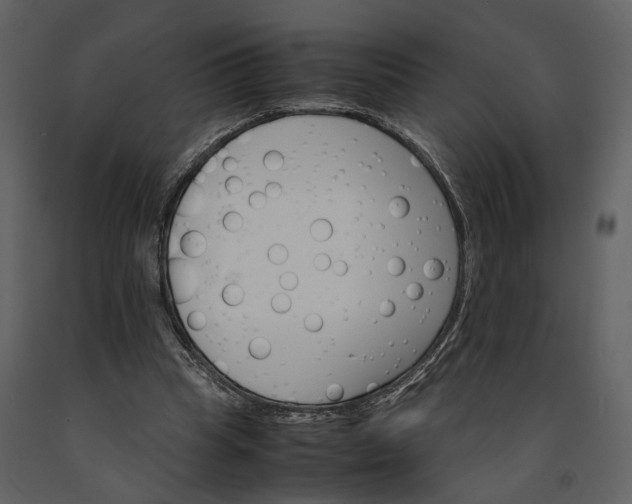 X0000091180345200708231534