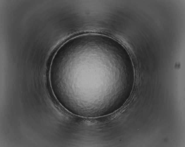 X0000091180346200708231534