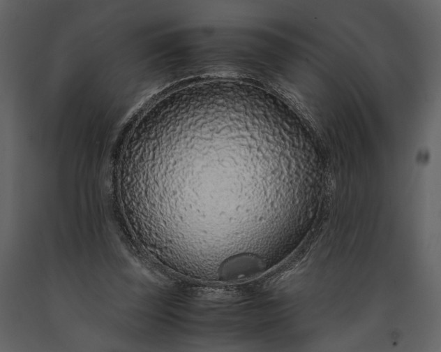 X0000091180347200708231534