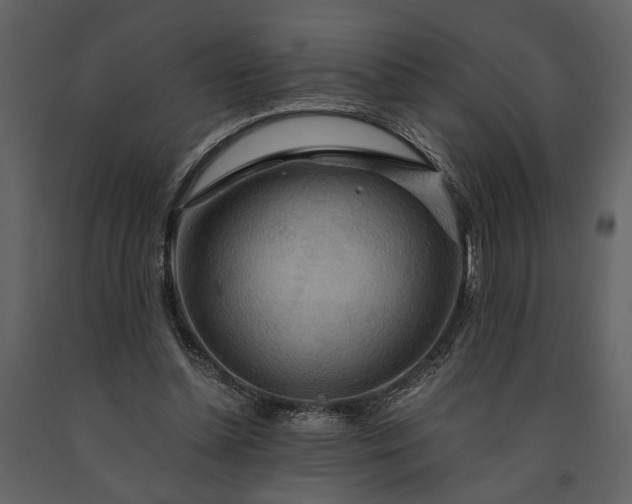 X0000091180348200708231534