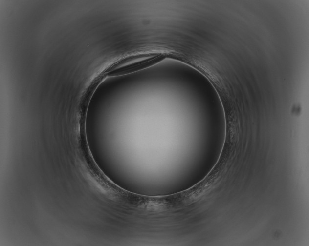 X0000091180350200708231534