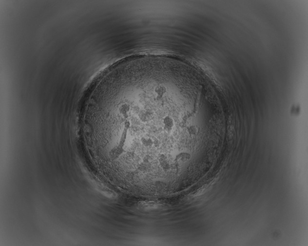 X0000091180351200708231534