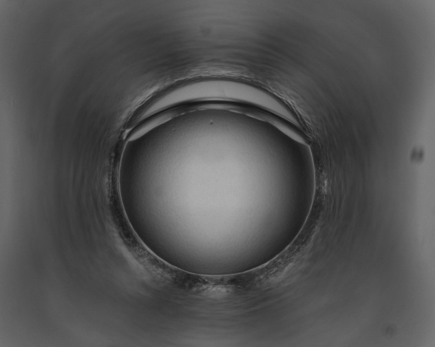 X0000091180352200708231534