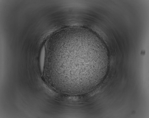 X0000091180353200708231534