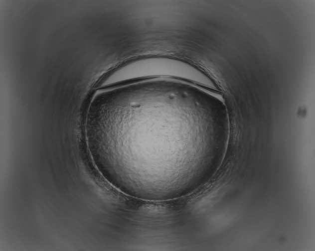 X0000091180354200708231534