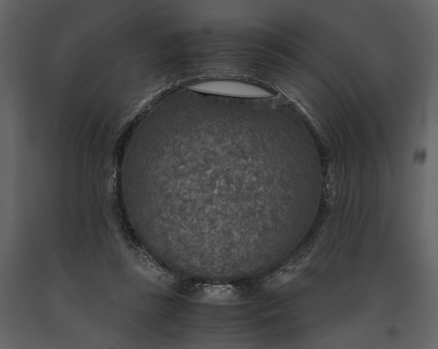 X0000091180355200708231534