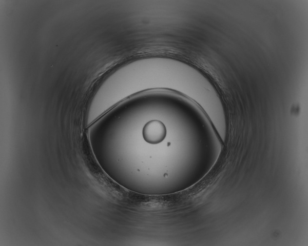 X0000091180356200708231534