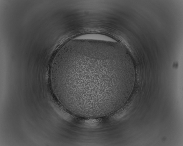 X0000091180357200708231534