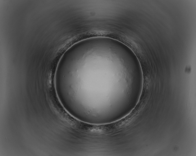 X0000091180358200708231534