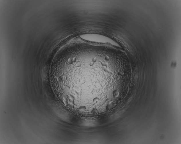 X0000091180359200708231534