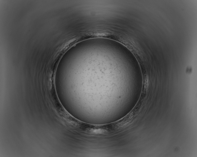 X0000091180360200708231534