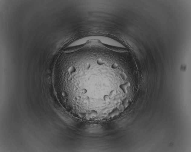 X0000091180361200708231534