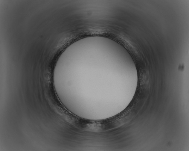 X0000091180362200708231534